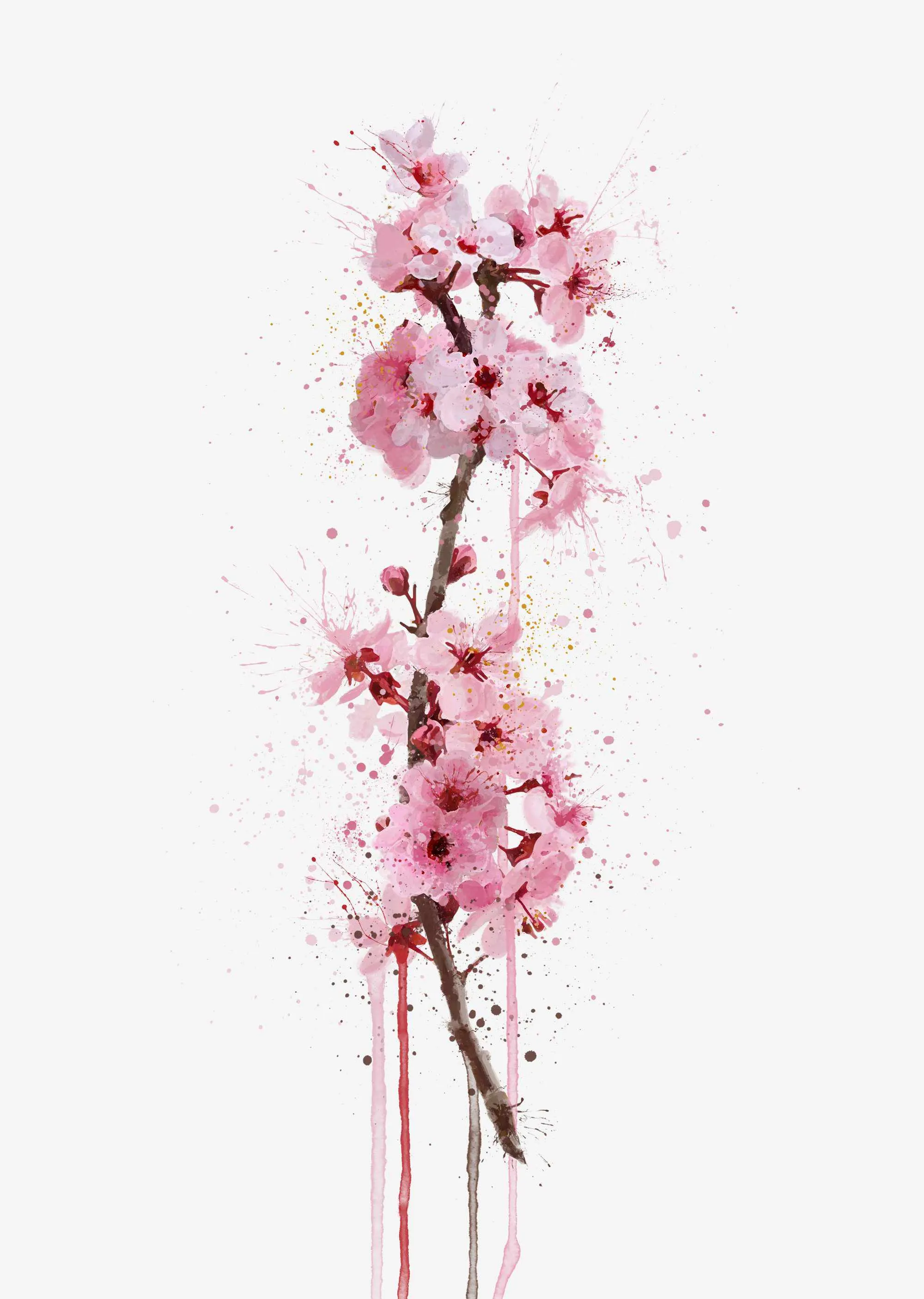 Flower Wall Art Print 'Cherry Blossom'