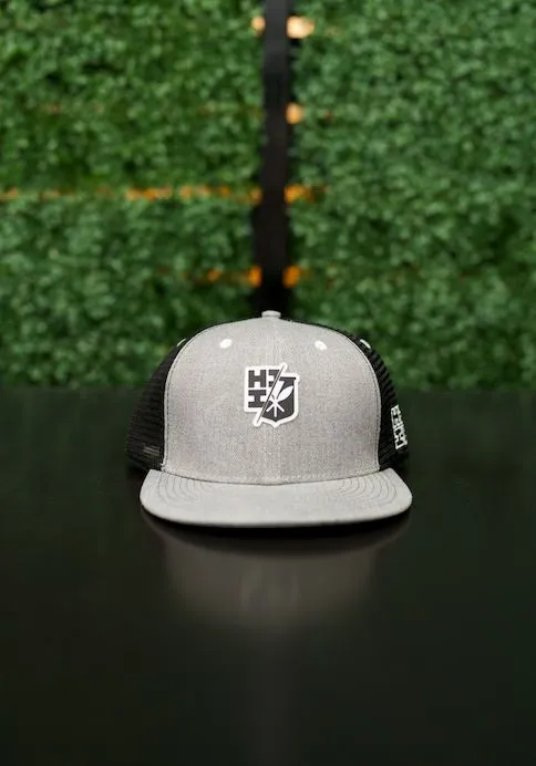 HEATHER GRAY SPLIT LOGO TRUCKER